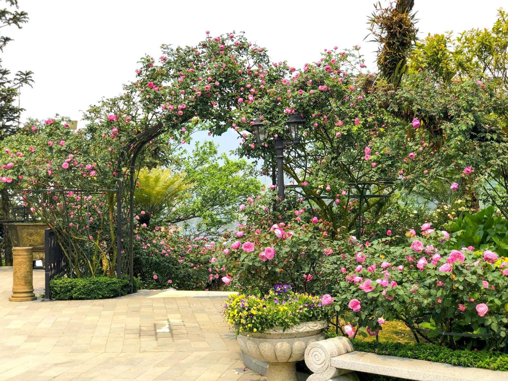 Silk Path Grand Sapa Resort & Spa Exterior foto Rose Garden